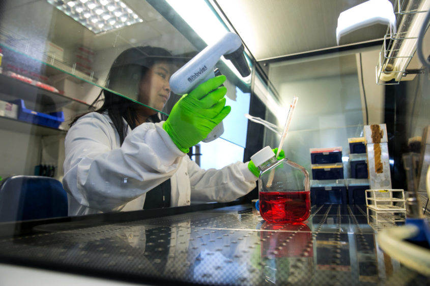 researcher in lab doing vital pancreatic cancer research