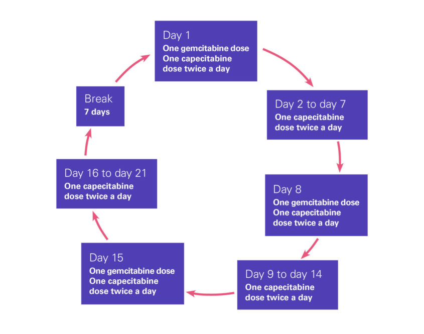 A diagram showing the cycle GemCap chemotherapy is given in.