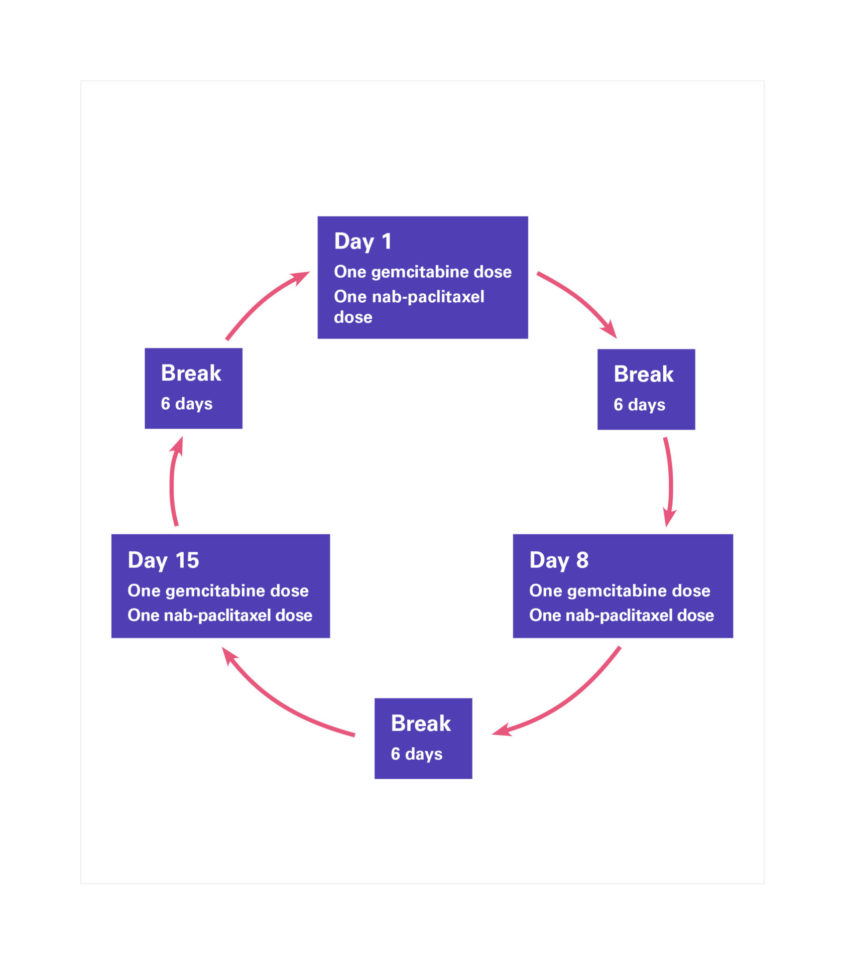 A diagram showing the cycle the chemotherapy drugs gemcitabine and nab paclitaxel are given in.