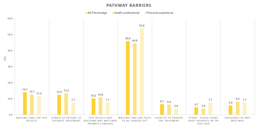 Chart showing view on barriers in a patient’s pathway to starting treatment