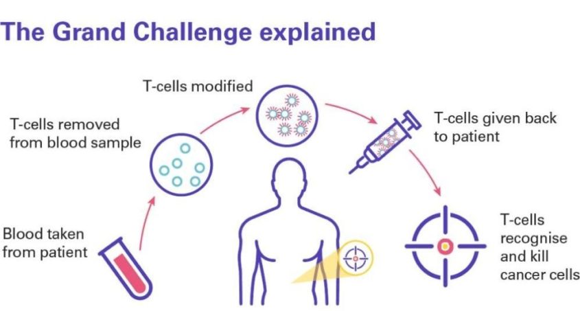 pancreatic cancer cells