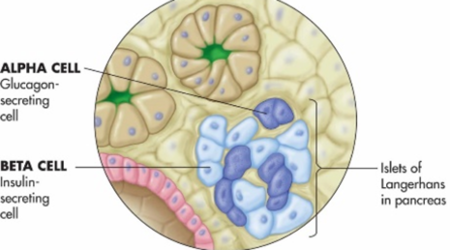 Learning and development for health professionals - Pancreatic Cancer UK