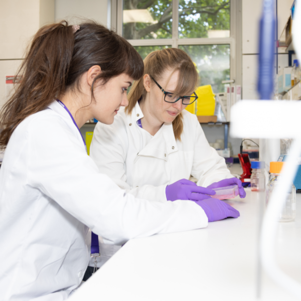 Two researchers working together in a lab wearing their white lab coats