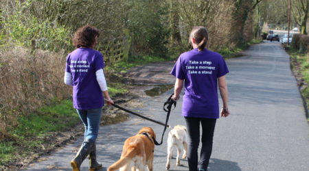 Friends walking with dogs