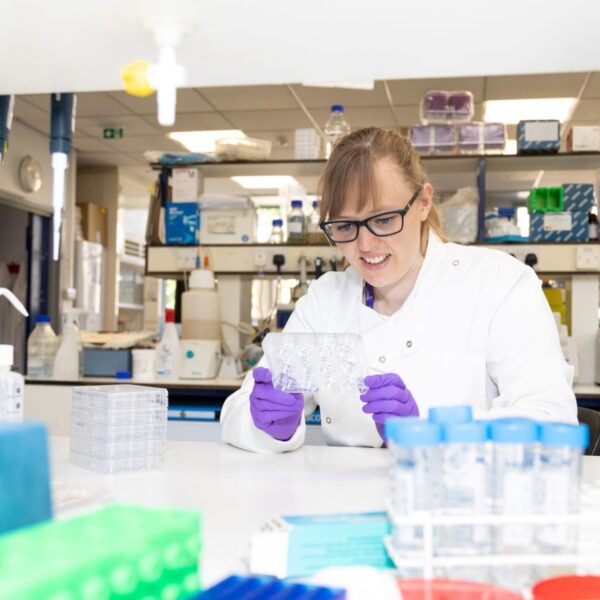 Researcher working in the lab