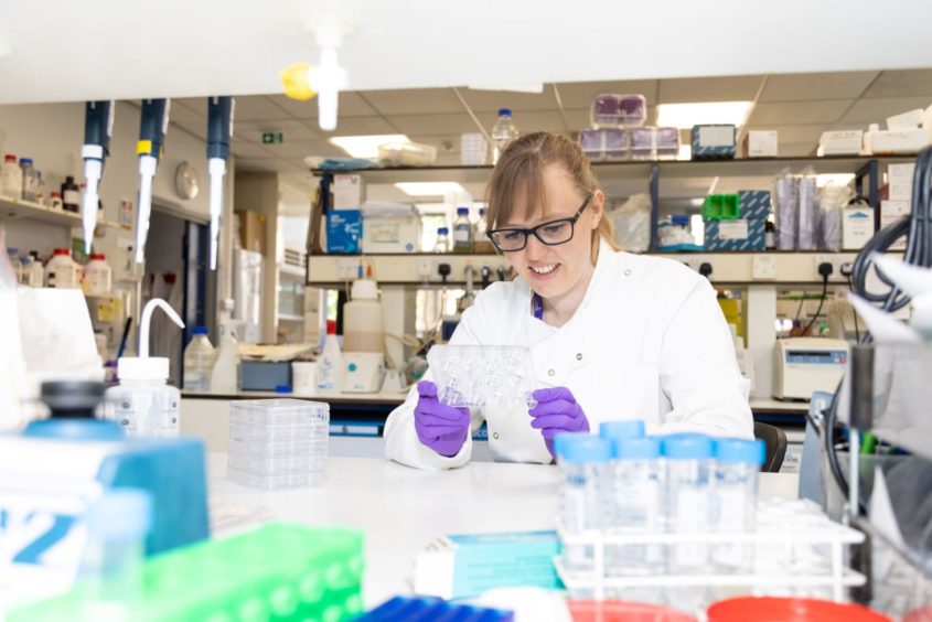 Researcher working in the lab