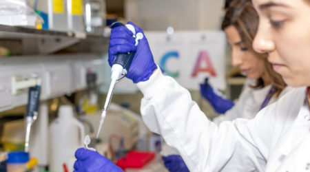 Two female researchers working in a lab wearing purples gloves and using a pipette