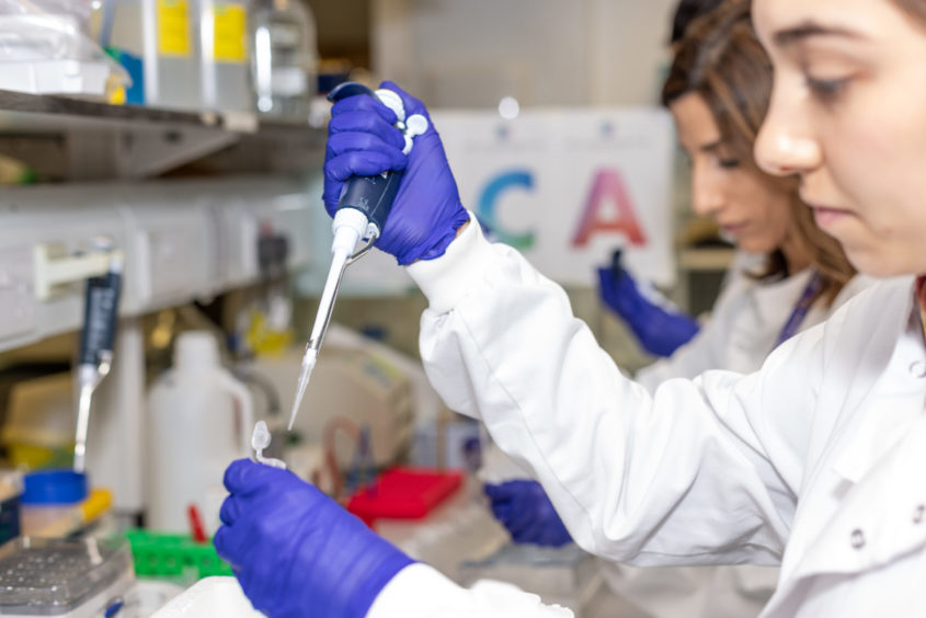 Two female researchers working in a lab wearing purples gloves and using a pipette