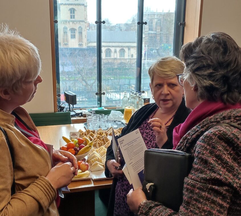Our supporter Lesley engaging Flick Drummond MP & Lia Nici MP in conversation