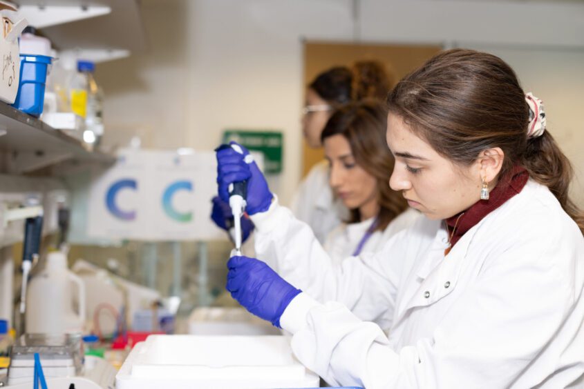 researchers in a lab doing testing