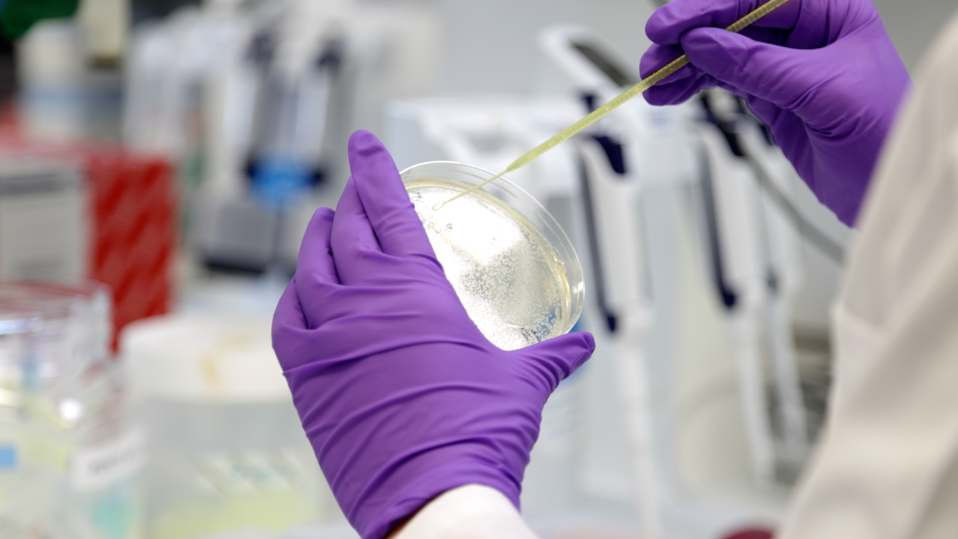 Just 12% of pancreatic cancer patients given the chance to join a clinical trial