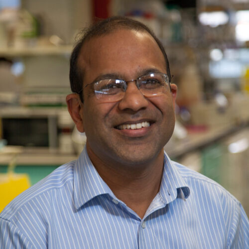 Photo of Hemant Kocher