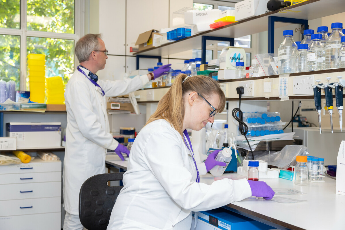 New treatment option for pancreatic cancer in England