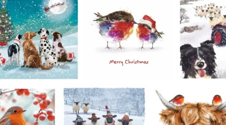 Chrsitmas cards for pancreatic cancer uk
